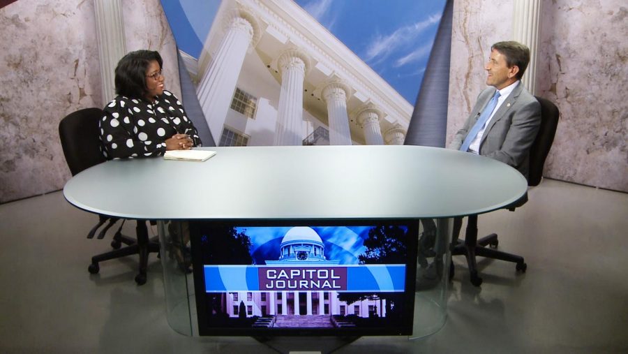 Karen Goldsmith appears regularly on the news show “Capitol Journal” that airs on the Public Broadcast network.  She analyzes the news of the week and adds commentary for viewer understanding.