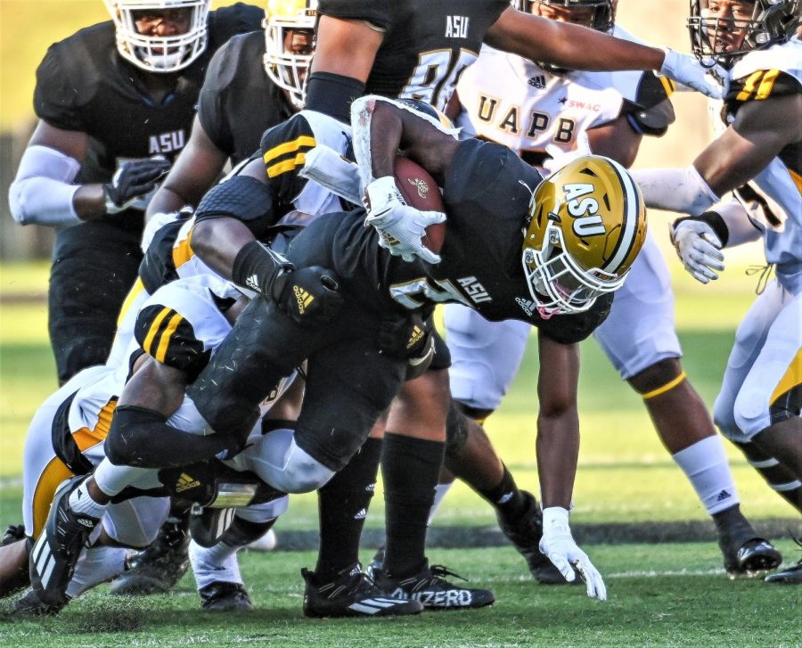 During the Alabama State vs. University of Arkansas at Pine Bluff football game, Hornet quarterback Myles Crawley reads a Golden Lion defender on an option play with his running back Ezra Gray.
