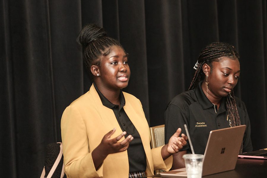 Sen. Chavon Brown and Sen. Kameelah Freeman listen carefully as students express their feelings regarding a number of issues. 