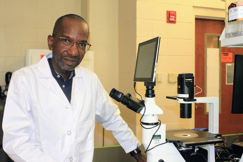 University receives $1.2 million grant for kidney tissue regeneration research