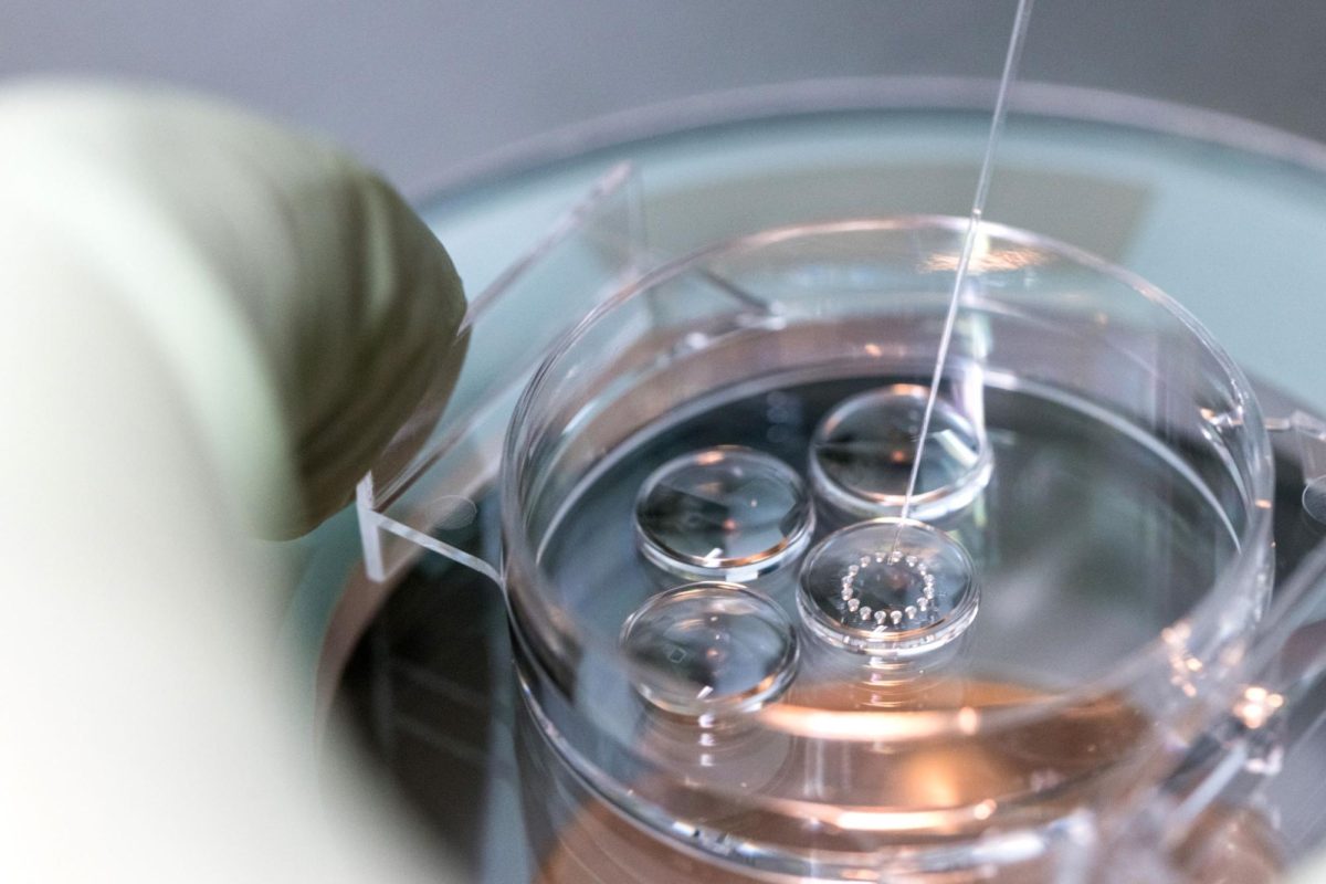 Alabama hospital puts pause on IVF in wake of ruling saying frozen embryos are children